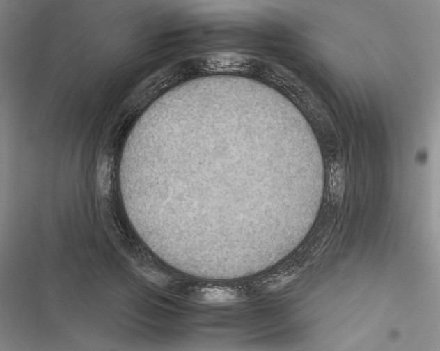 X0000116460741201001201300