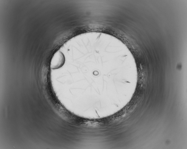 X0000116460742201001201300