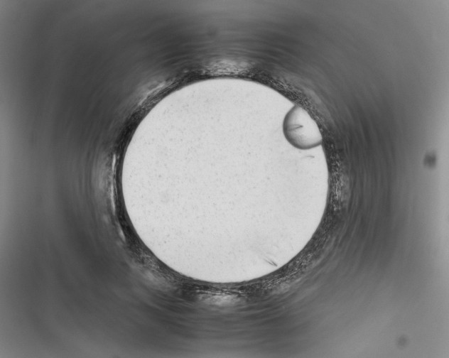 X0000116460743201001201300