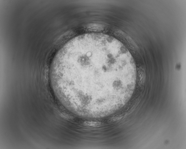 X0000116460745201001201300