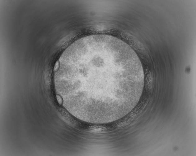 X0000116460746201001201300