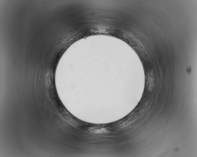 X0000116460747201001201300
