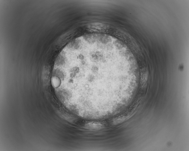 X0000116460749201001201300