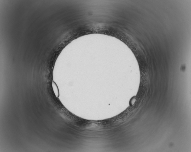 X0000116460750201001201300