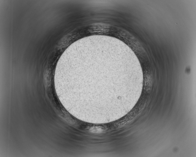 X0000116460751201001201300