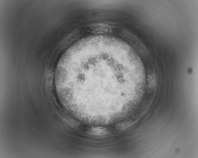 X0000116460753201001201300