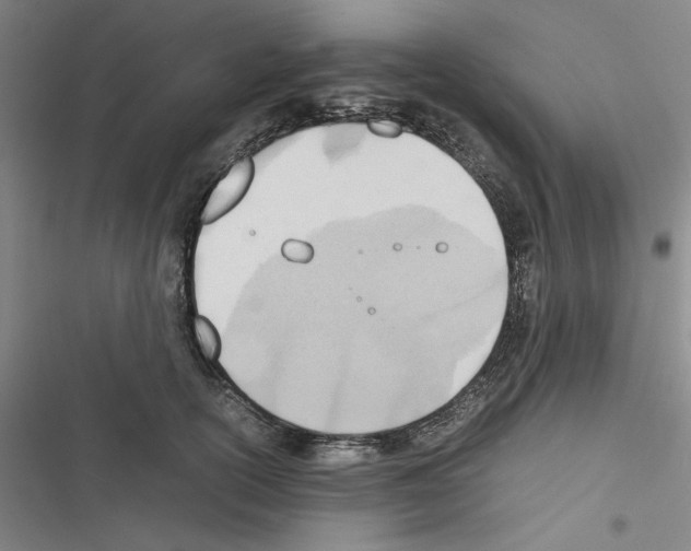X0000116460754201001201300