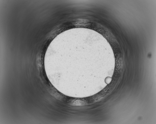 X0000116460755201001201300