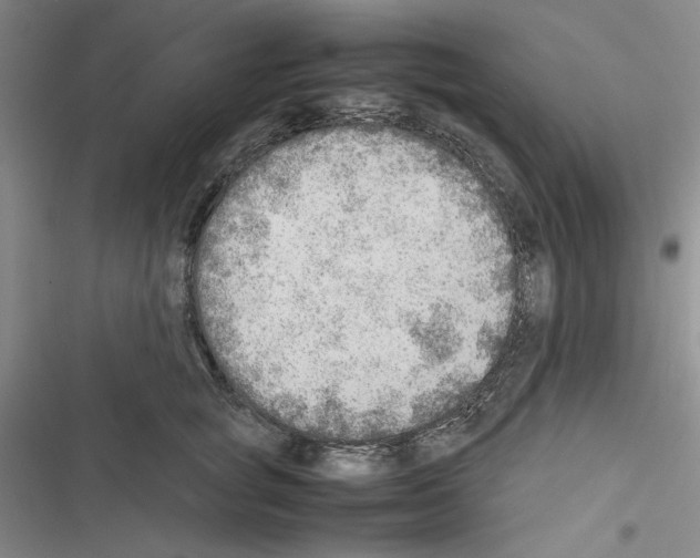 X0000116460757201001201300