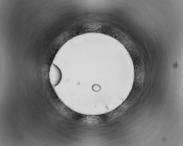 X0000116460758201001201300