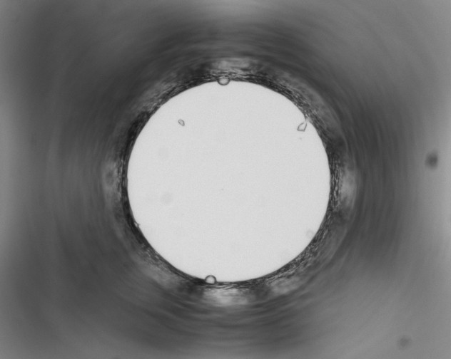 X0000116460759201001201300