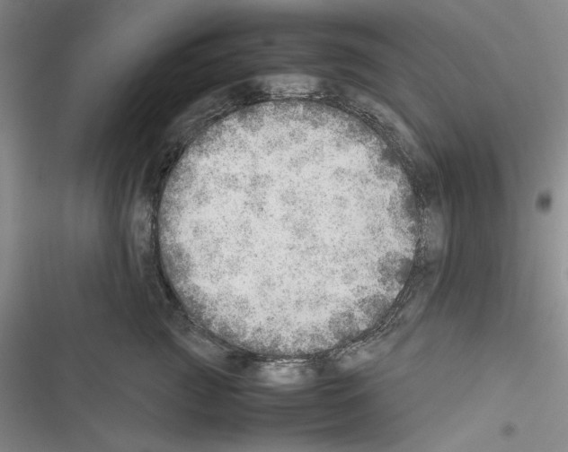 X0000116460761201001201300