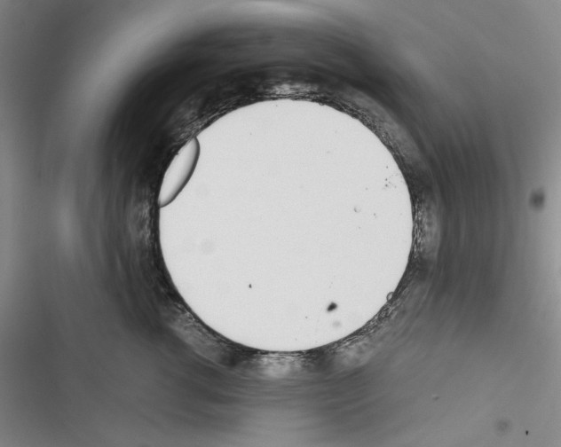 X0000116460762201001201300