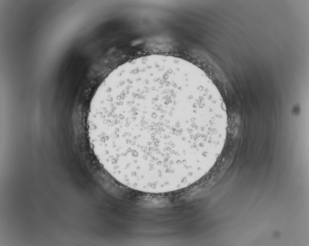 X0000116460763201001201300