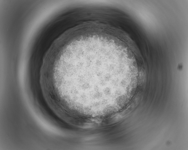 X0000116460765201001201300
