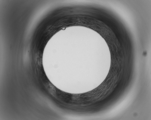 X0000116460766201001201300