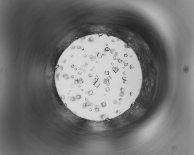 X0000116460767201001201300