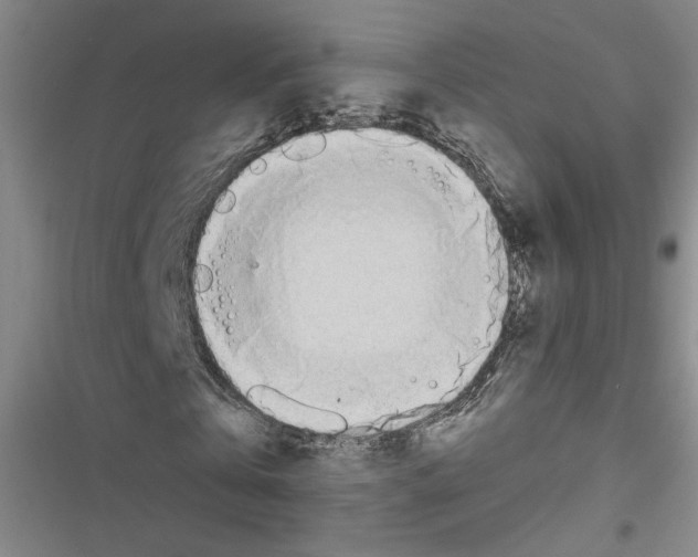 X0000116460769201001201259