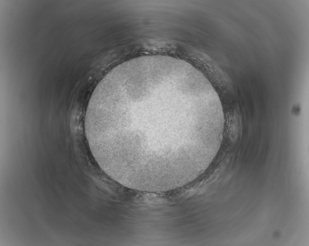 X0000116460770201001201259