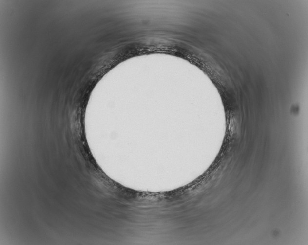 X0000116460771201001201259