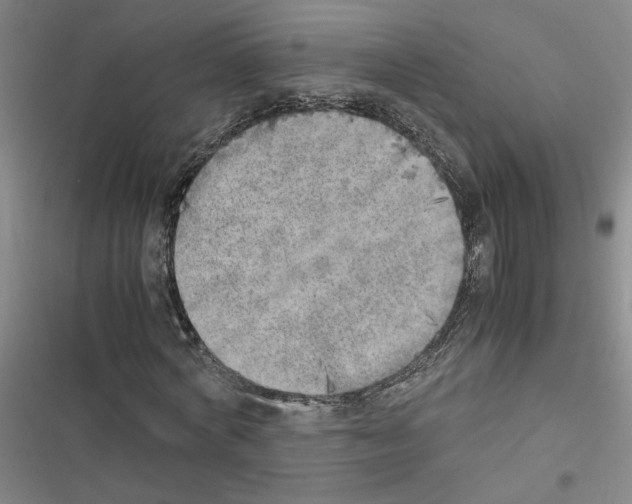 X0000116460772201001201259