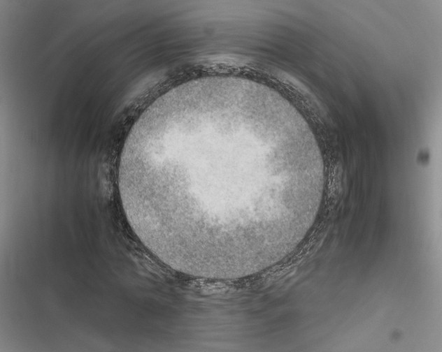 X0000116460774201001201259