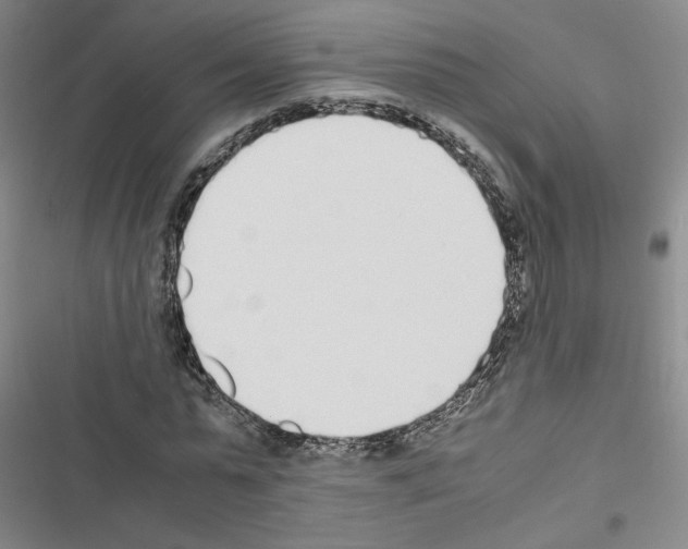 X0000116460775201001201259