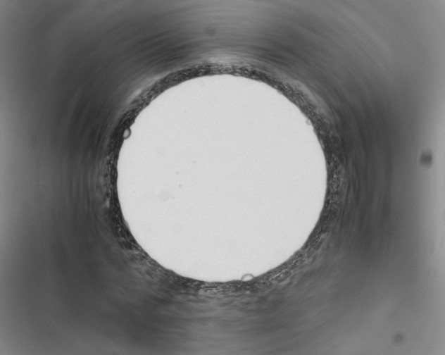 X0000116460776201001201259