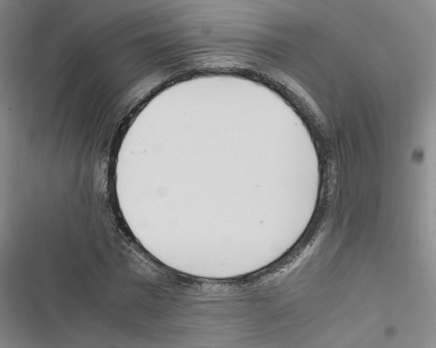 X0000116460777201001201259