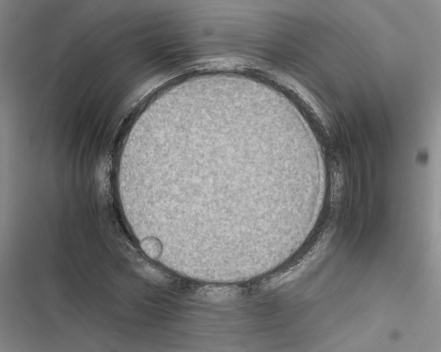 X0000116460778201001201259