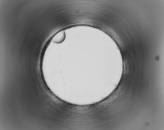 X0000116460780201001201259
