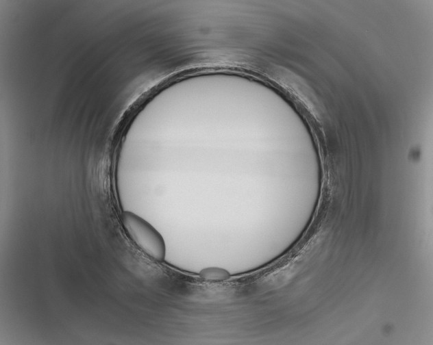 X0000116460781201001201259