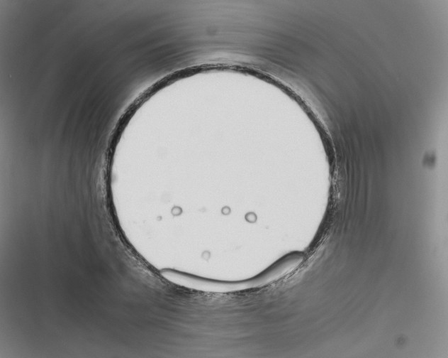 X0000116460783201001201259