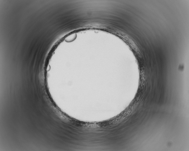 X0000116460784201001201259