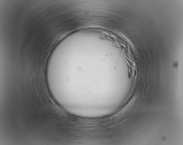 X0000116460785201001201259