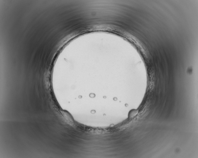 X0000116460786201001201259