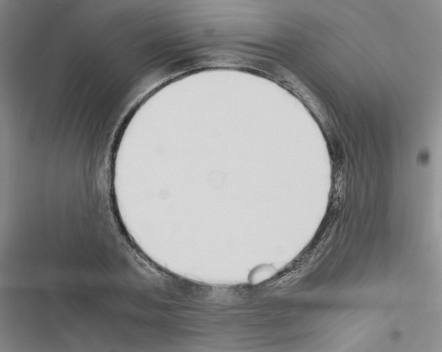 X0000116460787201001201259