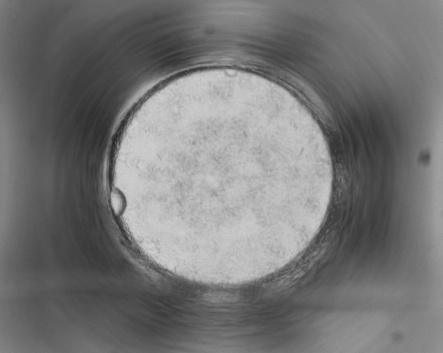 X0000116460788201001201259