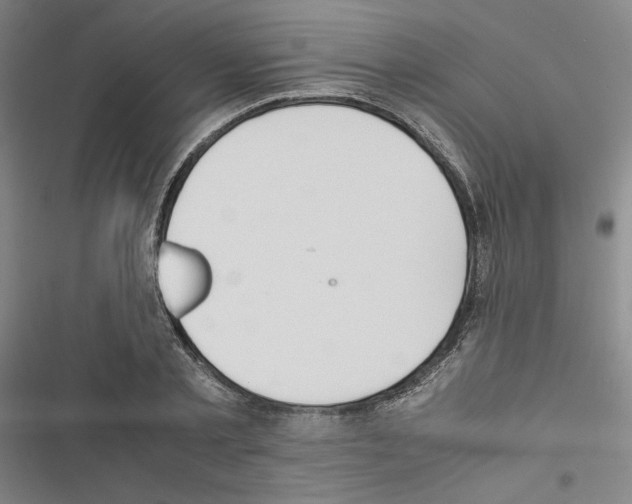 X0000116460789201001201259