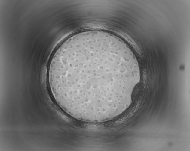 X0000116460790201001201259