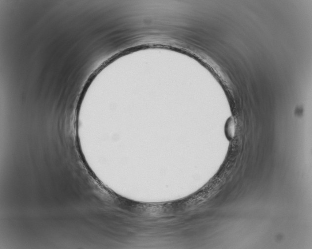 X0000116460791201001201259