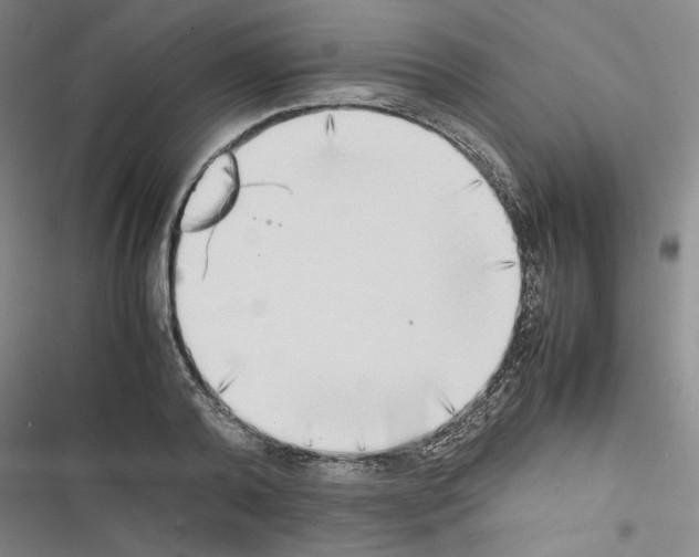 X0000116460792201001201259