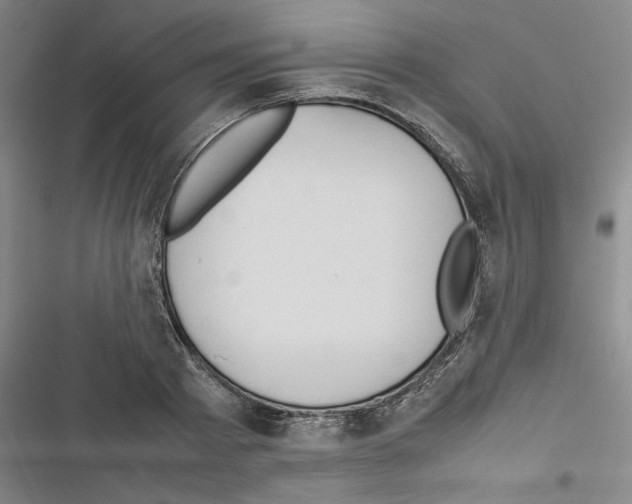 X0000116460793201001201259