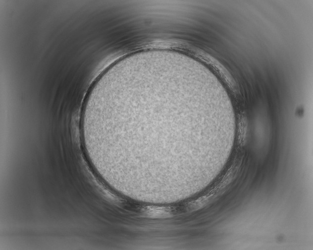 X0000116460794201001201259