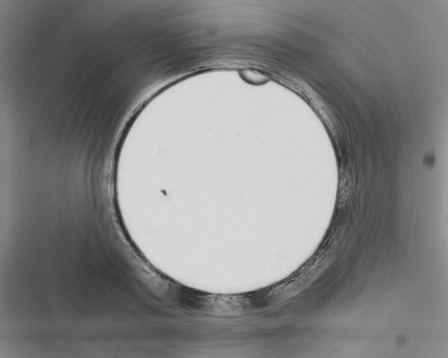 X0000116460795201001201259