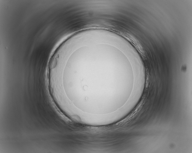X0000116460796201001201259