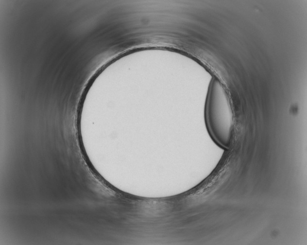 X0000116460797201001201259