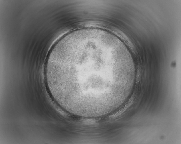 X0000116460798201001201259