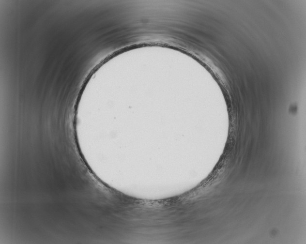 X0000116460799201001201259