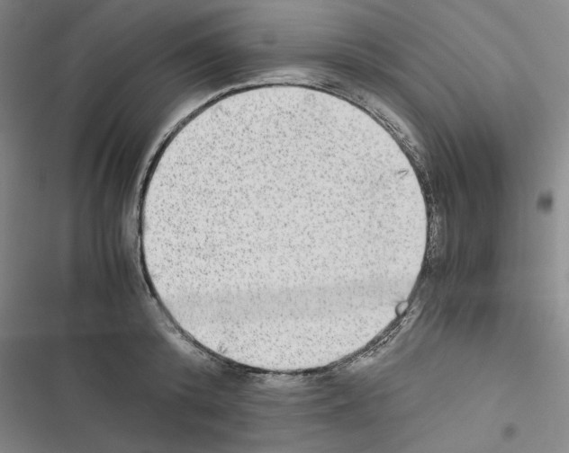 X0000116460800201001201259
